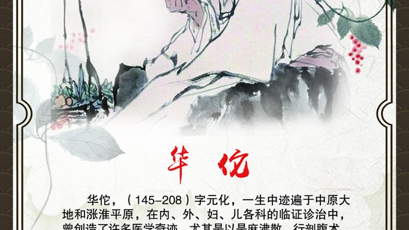 目前，艾灸养生加盟市场呈现出以下特点：